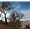 WRC FIA World Rally Championship XBOX 360 - immagine 5