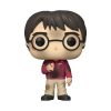 Funko POP HP: HP Anniversary