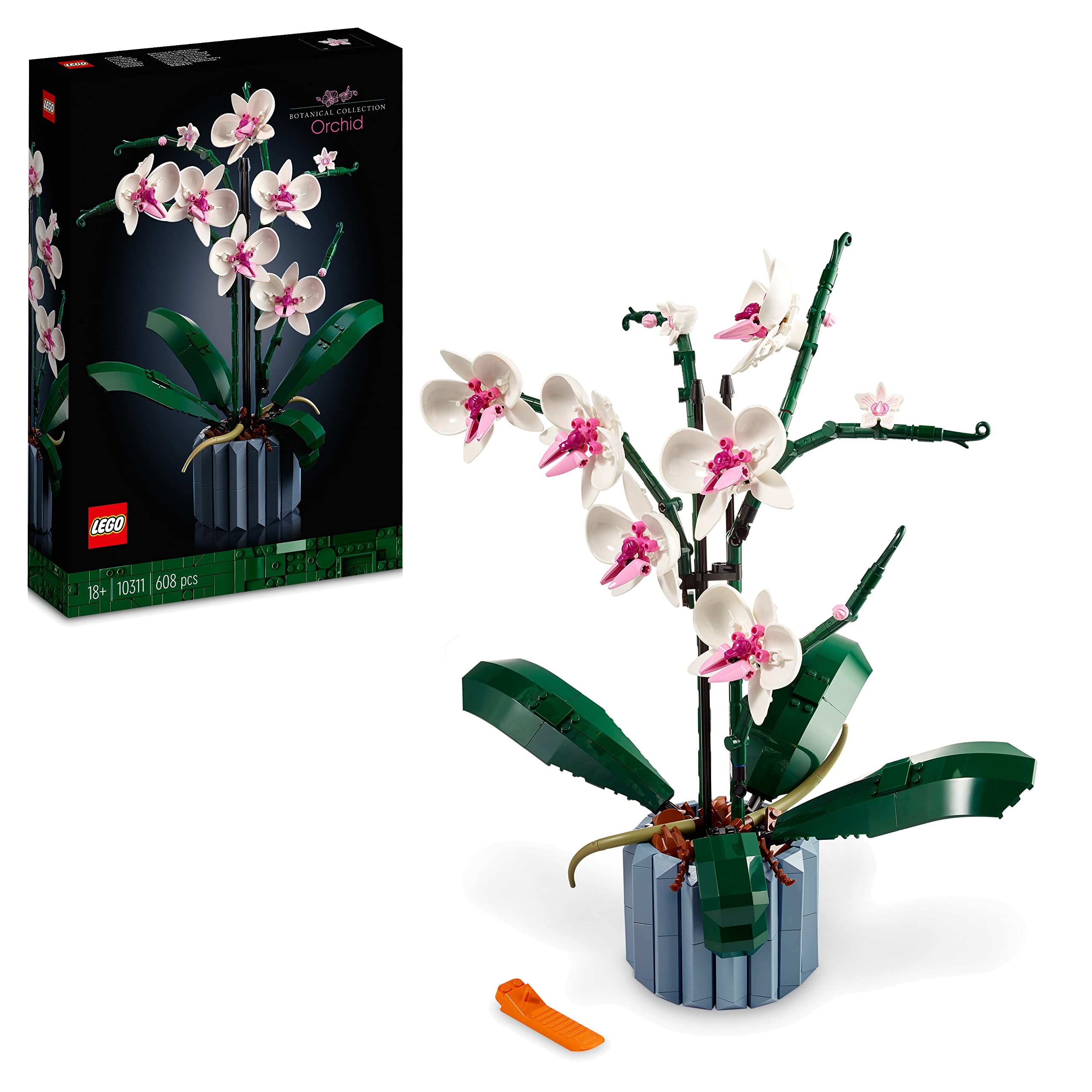 LEGO 10311 Icons Orchidea, Set per Adulti da Collezione, Modellismo e Hobby  Creativi, Modellino da Costruire in Mattoncini con Fiori Finti - Otaku Store