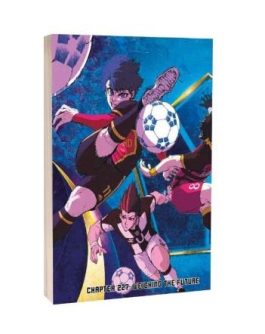 BLUE LOCK 34 - VARIANT WORLD CUP CELEBRATION